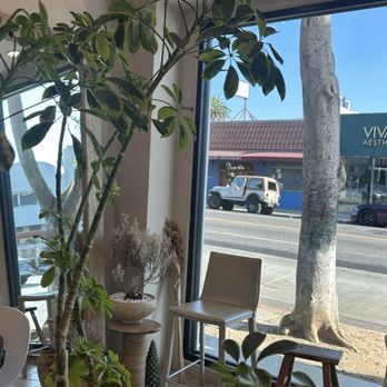 Olive & James Cafe - Melrose - Inside - Coffee & Tea Near Me - Los Angeles, California Olive & James Cafe - Melrose - Inside - Coffee & Tea Near Me - Los Angeles, California