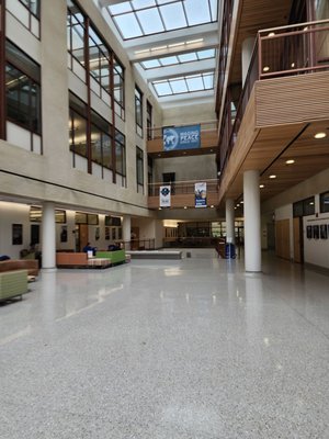 American University by null