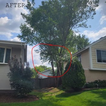Ackerman Tree Specialists - Tree Services Near Me
