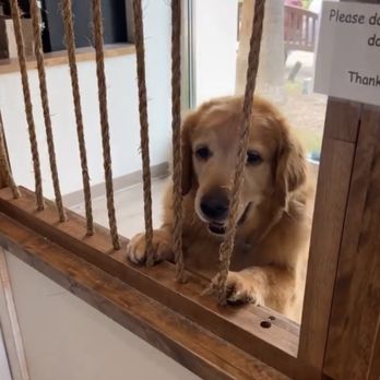 Barking Spot - Pet Stores Near Me - Chula Vista, California