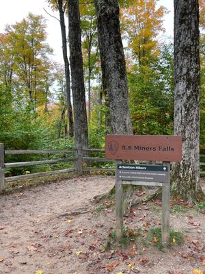 Miners Falls by null