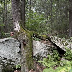 Overlook Mountain