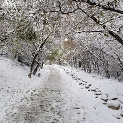 Hermitage Park