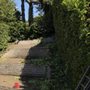 Photo of Diego's Landscaping and Tree Service