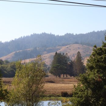 Roys Redwoods Preserve - Parks Near Me - Marin, California