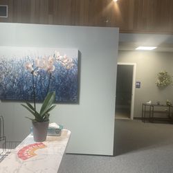 Tri-County Chiropractic - Exton