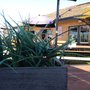 Photo of Belmont Hotel