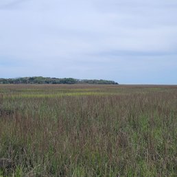 Marsh