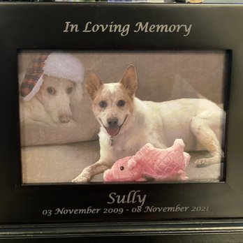 Paws In Paradise Pet Crematory - Urn - Pet Services Near Me - Killeen, Texas Paws In Paradise Pet Crematory - Urn - Pet Services Near Me - Killeen, Texas