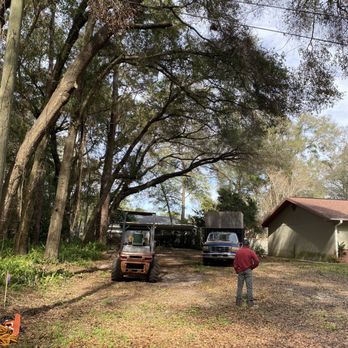 Goss Tree & Stump Removal - Tree Services Near Me