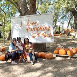 Indian Springs Ranch - "i love pumpkins so much" - Indian Springs Ranch (pic taken on 10/26/2024)