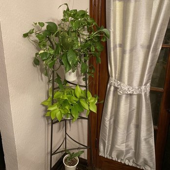 Latinx With Plants - Nurseries & Gardening Near Me - Los Angeles, California