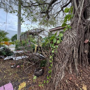 La Social - This is disturbing to see while eating. This looks like a junkyard not a restaurant. - Breakfast & Brunch Near Me - Miami, Florida La Social - This is disturbing to see while eating. This looks like a junkyard not a restaurant. - Breakfast & Brunch Near Me - Miami, Florida