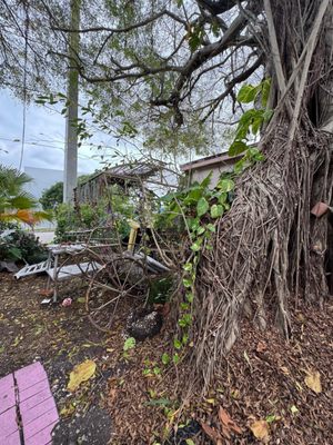 LASOCIAL - BRUNCH & CAFE by null