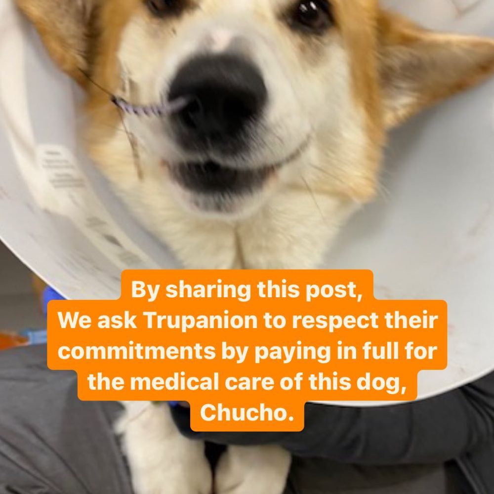 TOP 10 BEST Pet Insurance near Industrial District, Seattle, WA - Updated  2026 - Yelp