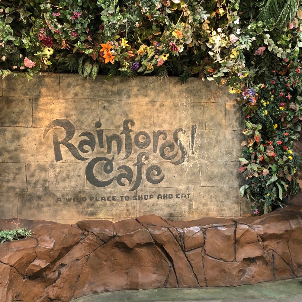 Rainforest Cafe - Montage! - American Near Me - Katy, Texas