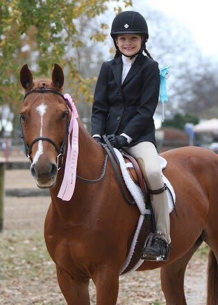 Falcon Hill Farm - equestrian in Wilsonville, AL