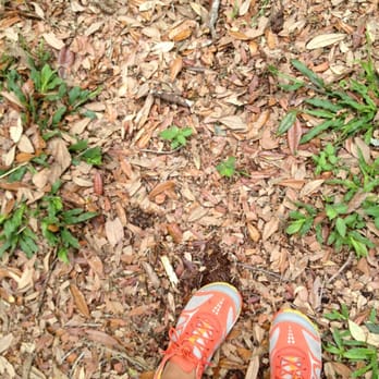 Losco Regional Park - Perfect place to run. - Parks Near Me - Jacksonville, Florida