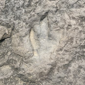 Dinosaur Footprints - Print - Parks Near Me - Holyoke, Massachusetts