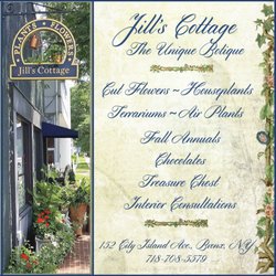 Jill's Cottage - Plant Parentage