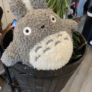 Conversations - Totoro, a famous Japanese cartoon character (a chinchilla) - Cafes Near Me - Honolulu, Hawaii