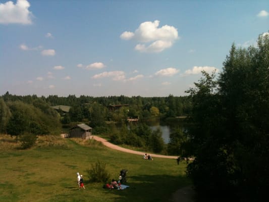 CONKERS - Updated November 2024 - Rawdon Road, Swadlincote, Derbyshire ...