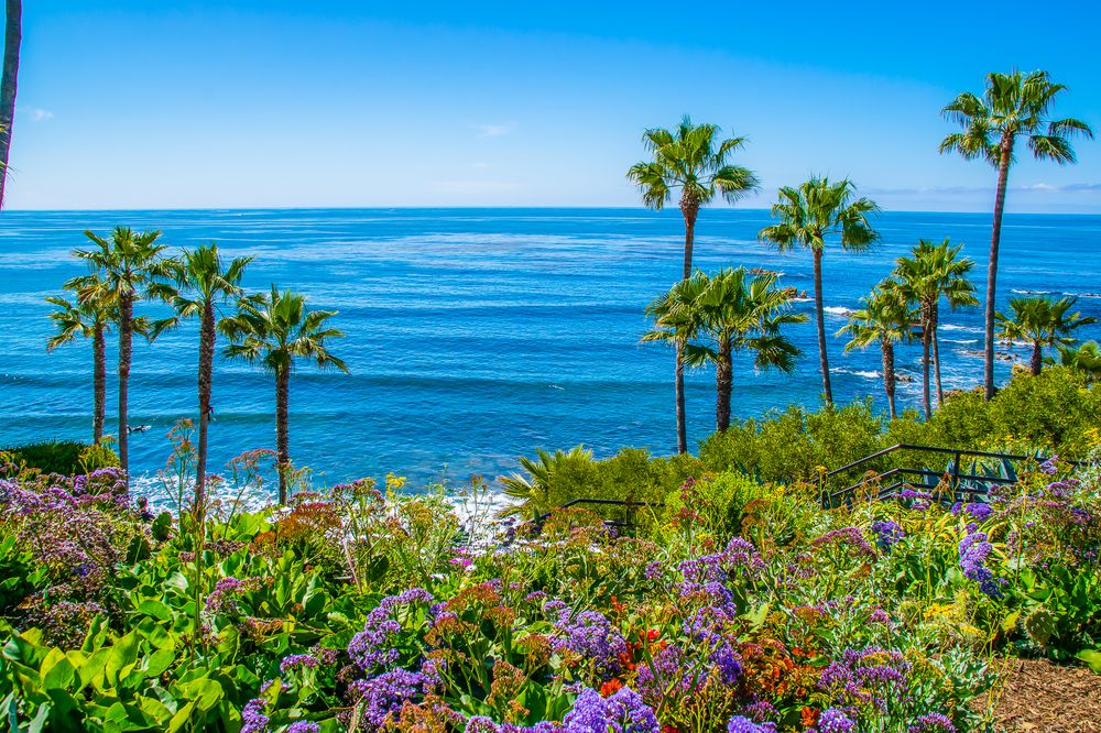 PACIFIC CLOSING SERVICES Updated August 2024 Request Information