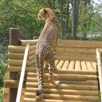 Paradise Wildlife Park - Zoos Near Me - London, XGL