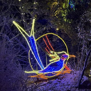 River Of Lights - Festivals Near Me - Albuquerque, New Mexico
