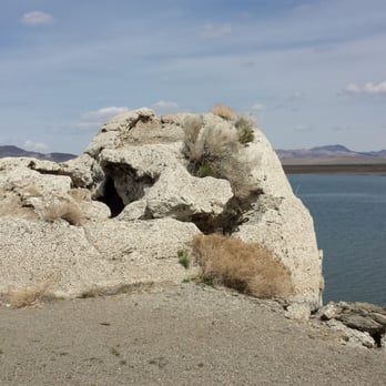 Pyramid Lake Paiute Tribe - Popcorn rock. - Lakes Near Me - Reno, Nevada Pyramid Lake Paiute Tribe - Popcorn rock. - Lakes Near Me - Reno, Nevada