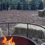 Photo of Ward Ranch Christmas Tree Farm