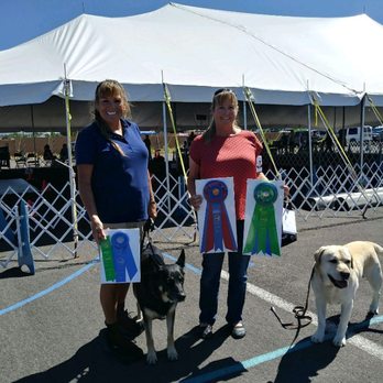 Unleashed Dog Training - fun day - Pet Training Near Me - Camp Verde, Arizona Unleashed Dog Training - fun day - Pet Training Near Me - Camp Verde, Arizona