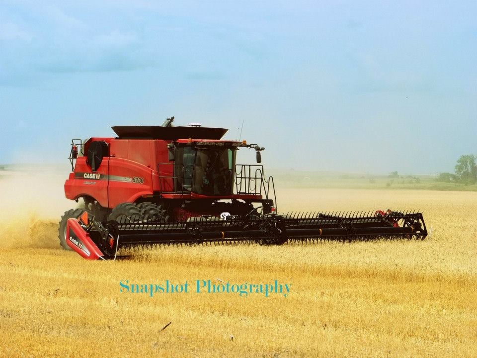 AG WEST SUPPLY HARRISBURG Updated September 2024 230 Sommerville Ave, Harrisburg, Oregon