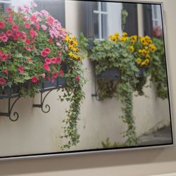 Indigo Hall - Photo in the 2nd story hallway.