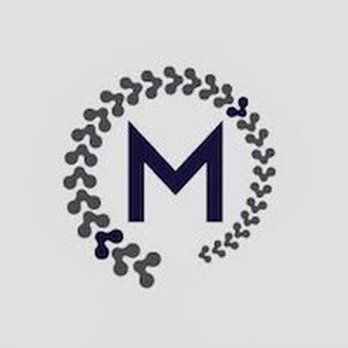 Movement Chiropractic - Practice Logo - Chiropractors Near Me - Fairfax, Virginia