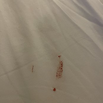Holiday Inn Express - Blood on sheets! - Hotels Near Me - Puerto Vallarta, JAL