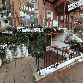 Black Sheep Bagel Cafe - Exterior - Bagels Near Me - Cambridge, Massachusetts