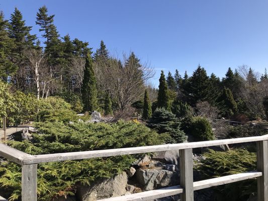 Memorial University Botanical Garden by null