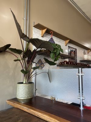 Jerusalem Coffee House by null