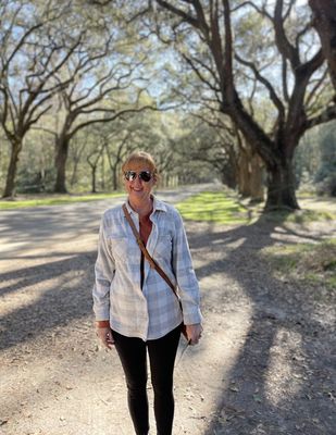Wormsloe Historic Site by null