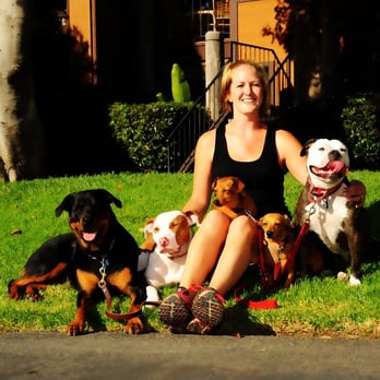 The Balanced Pack Pet Care - Dog Walkers Near Me The Balanced Pack Pet Care - Dog Walkers Near Me