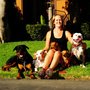 Photo of The Balanced Pack Pet Care