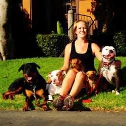 The Balanced Pack Pet Care