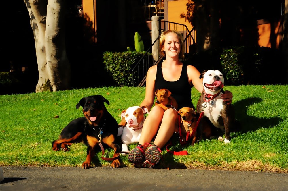 The Balanced Pack Pet Care - pet boarding facility in Carlsbad, CA