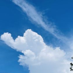 Santa Rosa Beach - Baby elephant frolicking in the sky