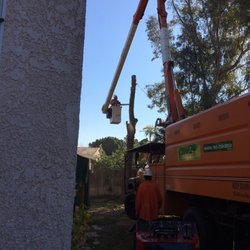 Chavez Landscaping