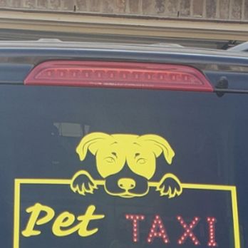 K-9 Rider - Does ur pet need a taxi - Pet Training Near Me
