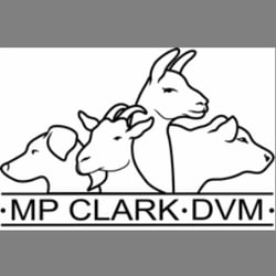 Compassionate Veterinary Care