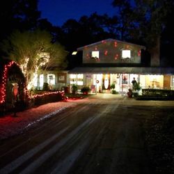 Paddington British Private School - PJ Night - Family Event