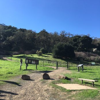 Pleasanton Ridge Regional Park - View from the staging area.  No way to go except up! - Parks Near Me - Pleasanton, California